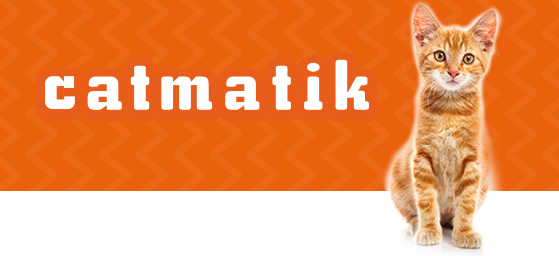 Catmatik