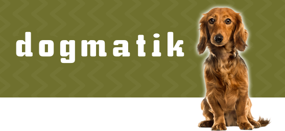 Dogmatik